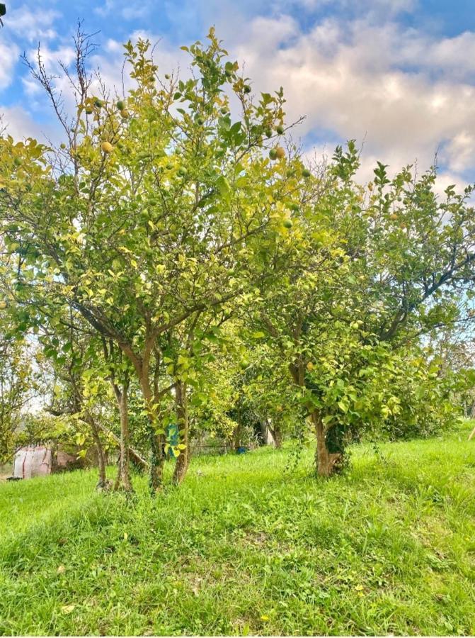 Casa Outeiro Villa Betanzos Luaran gambar